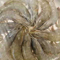 韩烧牛中牛黑牛烤肉(申碑路直营店) User Photo