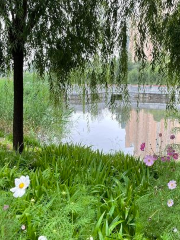 Haihu Wetland Park