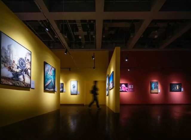 「中原首展」國家地理經典影像大展 | 鄭州