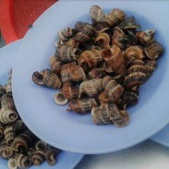Capitol Seafood Longkang Siham User Photo