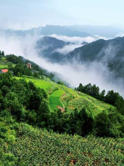 Heibao Mountain Forest Farm, Wanyuan City