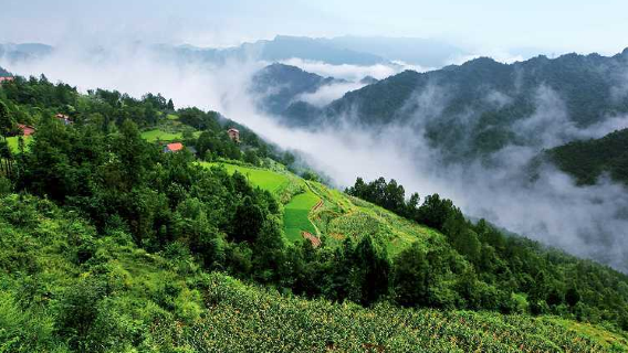 Heibao Mountain Forest Farm, Wanyuan City