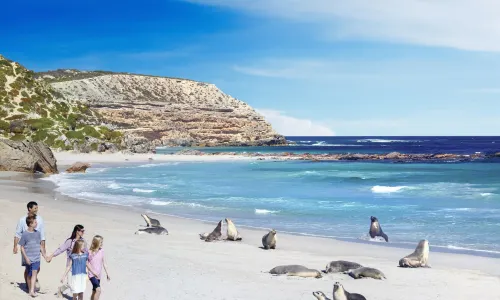 Seal Bay Conservation Park