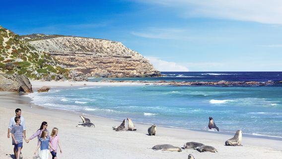 Parc de conservation de Seal Bay