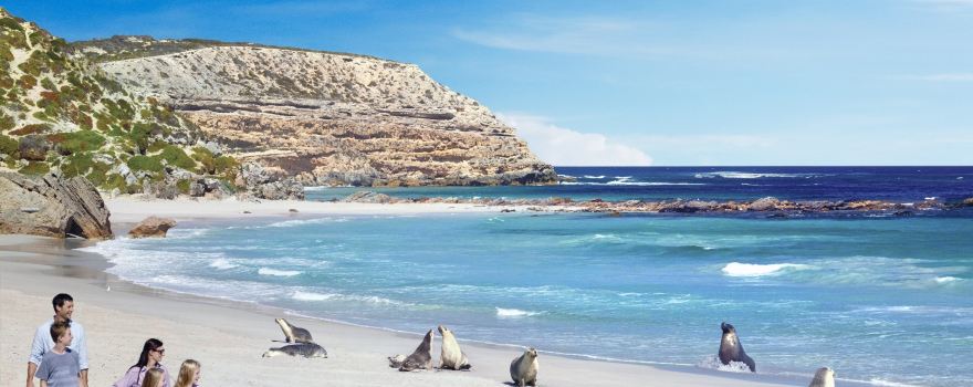 Seal Bay Conservation Park