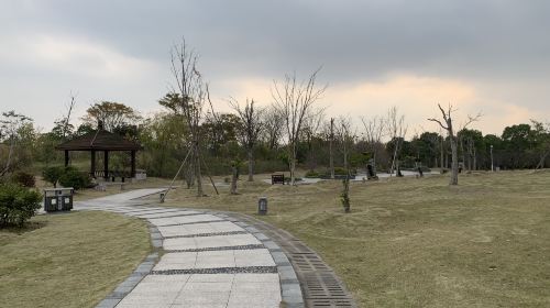 치시 삼림 공원