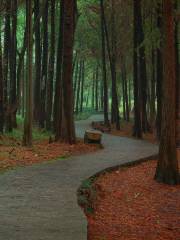 雨亭公園