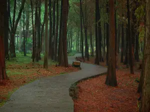 雨亭公園