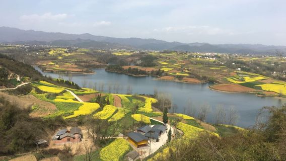 Jinsha Lake, Yang County
