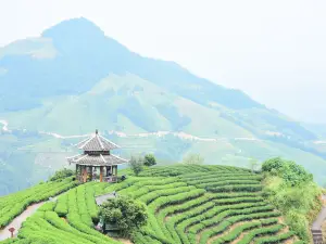 Gaoxiang Ecological Tea Culture Garden (Yuncha Villa)