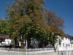 Gasthaus zum Uhlberg