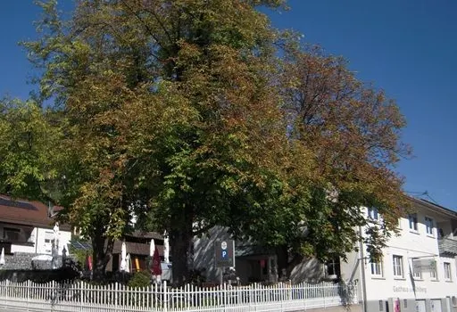 Gasthaus zum Uhlberg