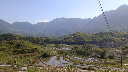 中國田魚村