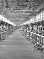 Anglo-French Textile Mill