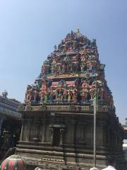 Arulmigu Sri Parthasarathy Perumal Temple Tiruvallikeni