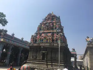 Arulmigu Sri Parthasarathy Perumal Temple Tiruvallikeni