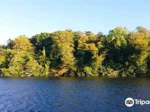 Long's Park