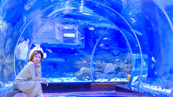 Shunde Hailifang Ocean Park