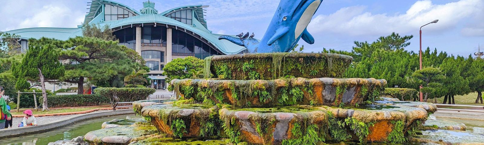 GinowanTours de un día