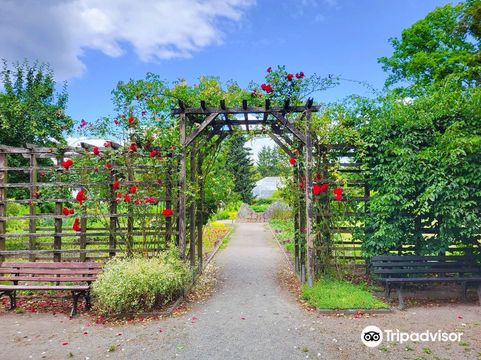 Botanischer Garten Chemnitz