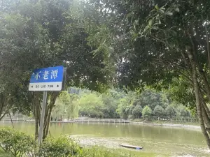 bu lao tan