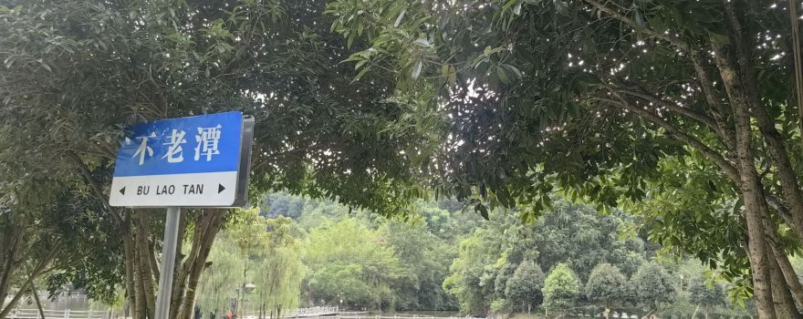 bu lao tan
