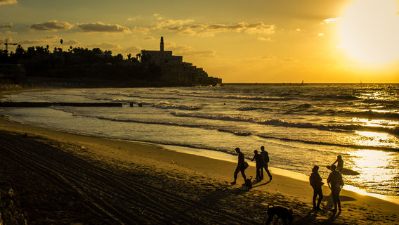 Surfing in Tel Aviv