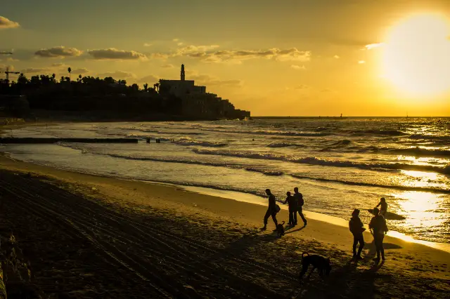 Surfing in Tel Aviv