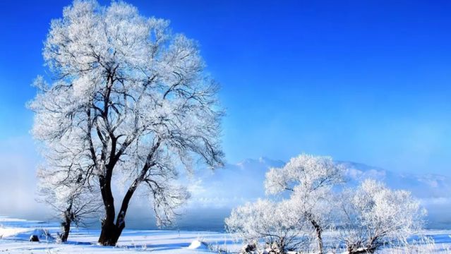 zhong guo xue gu yan shou shan jing qu