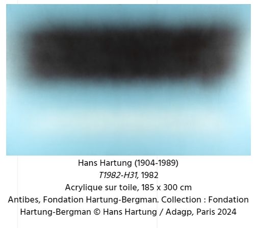 Out of focus. Another vision of art, from 1945 to nowadays | Musee de l'Orangerie