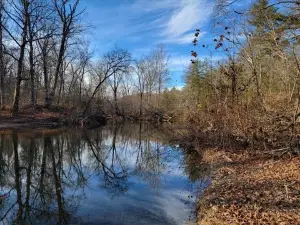 Craig Creek