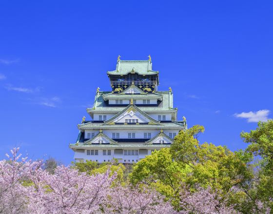 大阪 自由行套票