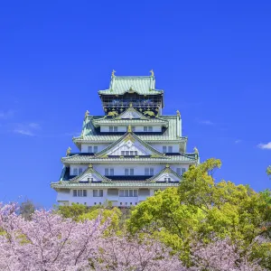 2026年大阪+京都+奈良市+米子+神戶+和歌山市10日9夜旅遊攻略:用AI行程規劃助手解鎖必玩活動(更新於5月)