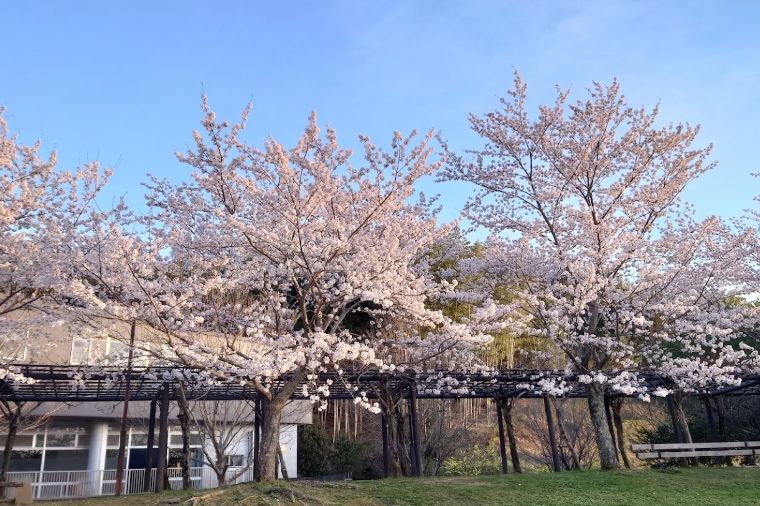 와카야마 온천 가는 법