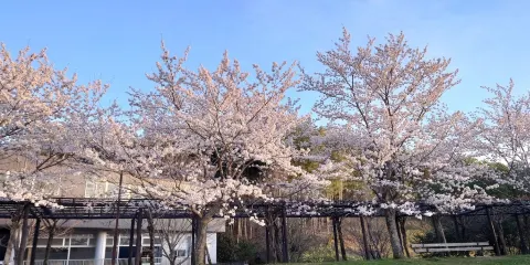 四季之鄉公園