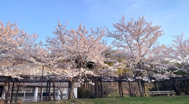 Shikinosato Park