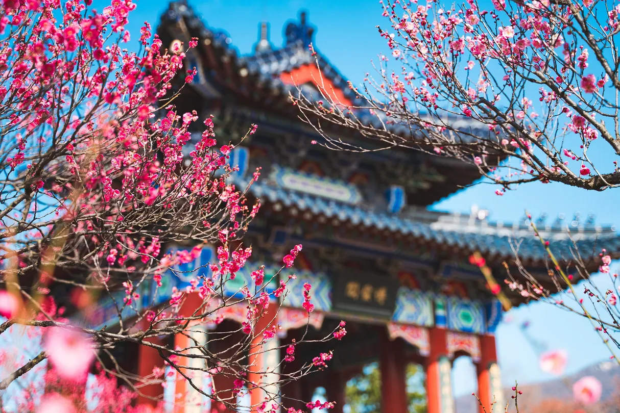 2_明孝陵