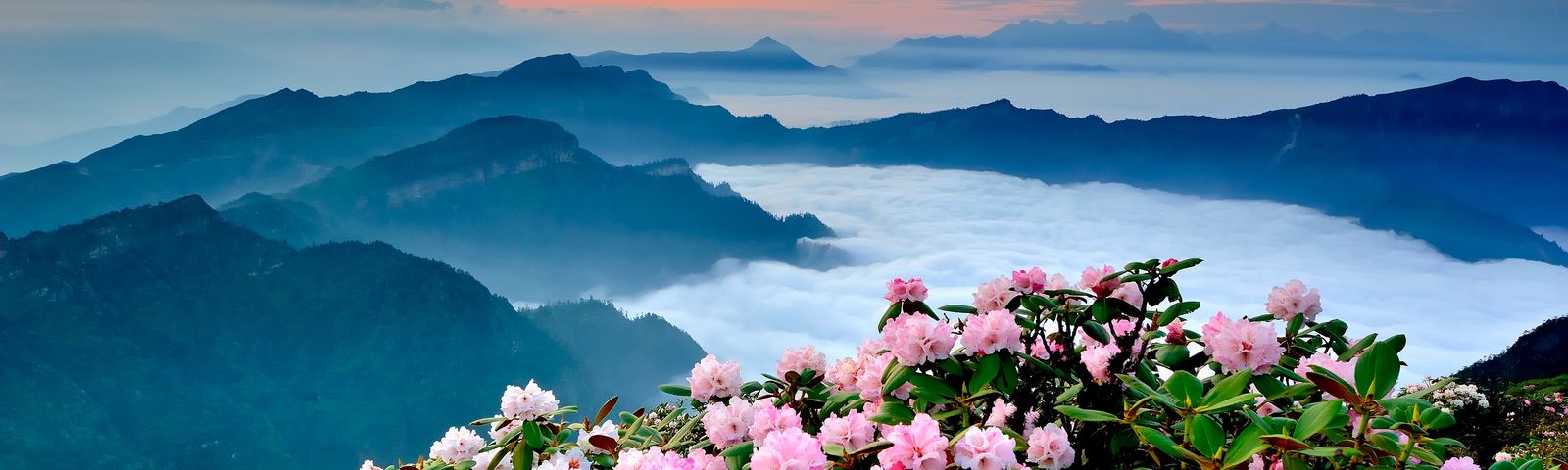 travel