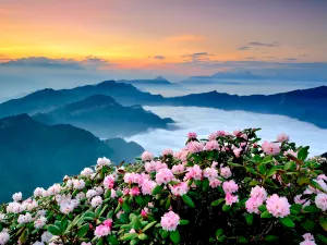 Niubei Mountain