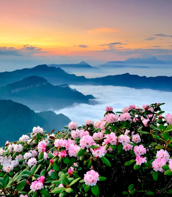 Niubei Mountain