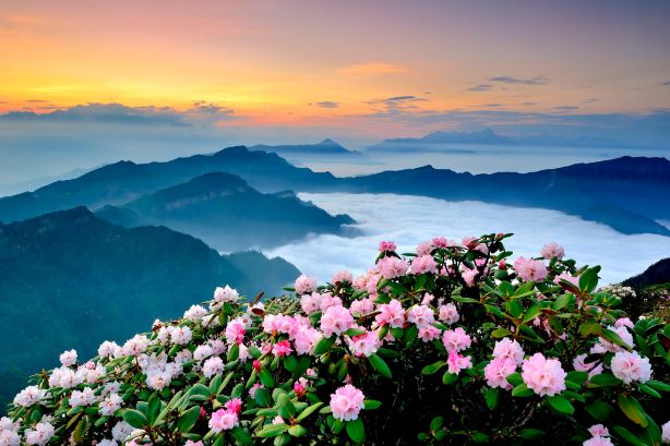 Yingjing
