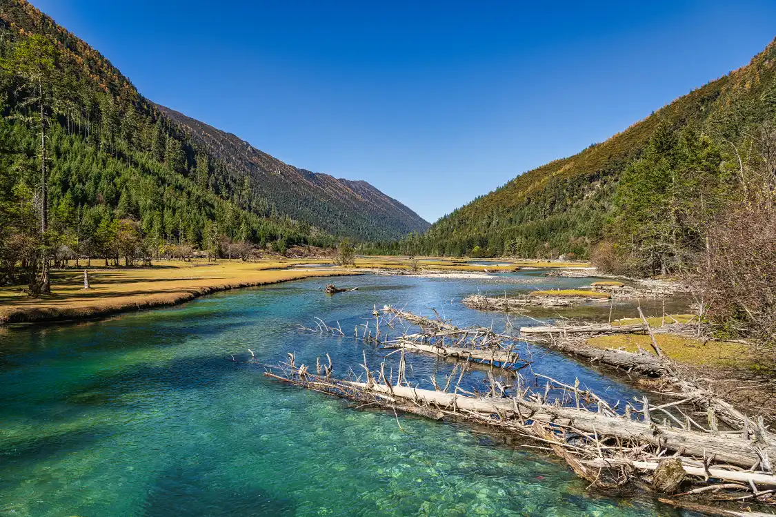 蓮花海附近的飯店
