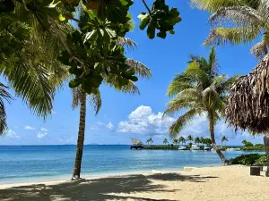 Laucala Island