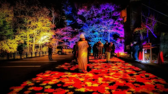 Miracle Illumination | Kamikawa