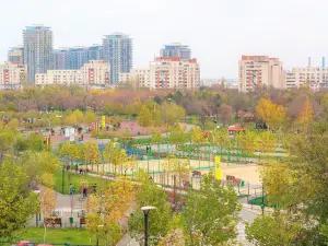 Youth Park