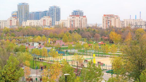 Youth Park