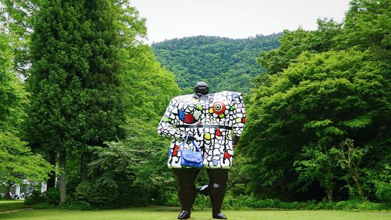 The Hakone Open-Air Museum