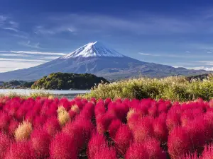 Oishi Park