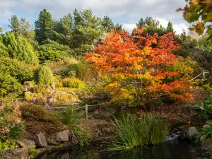 Giardino botanico Reale di Edimburgo