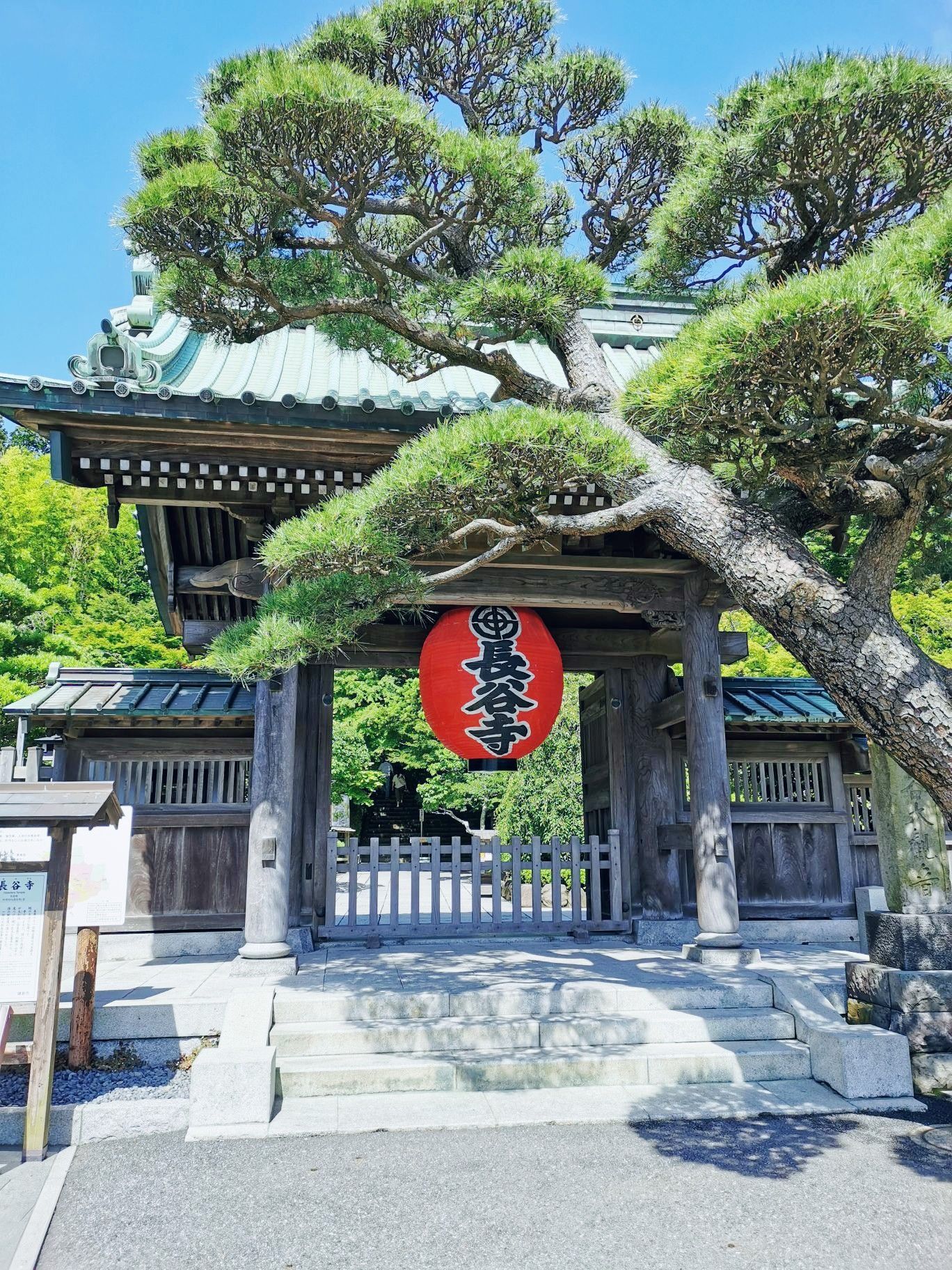 長谷寺旅遊攻略指南 長谷寺評論 長谷寺附近推薦 Trip Com